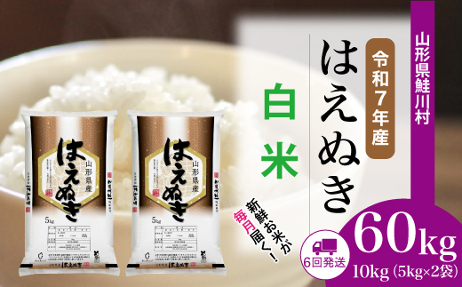 ＜令和7年産米＞ 山形県産 はえぬき 【白米】60kg定期便(10kg×6回)　配送時期指定できます！