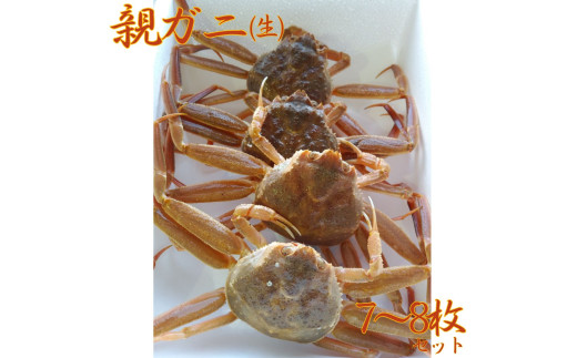 57M.鳥取県産親ガニ〔生〕 7～8枚セット