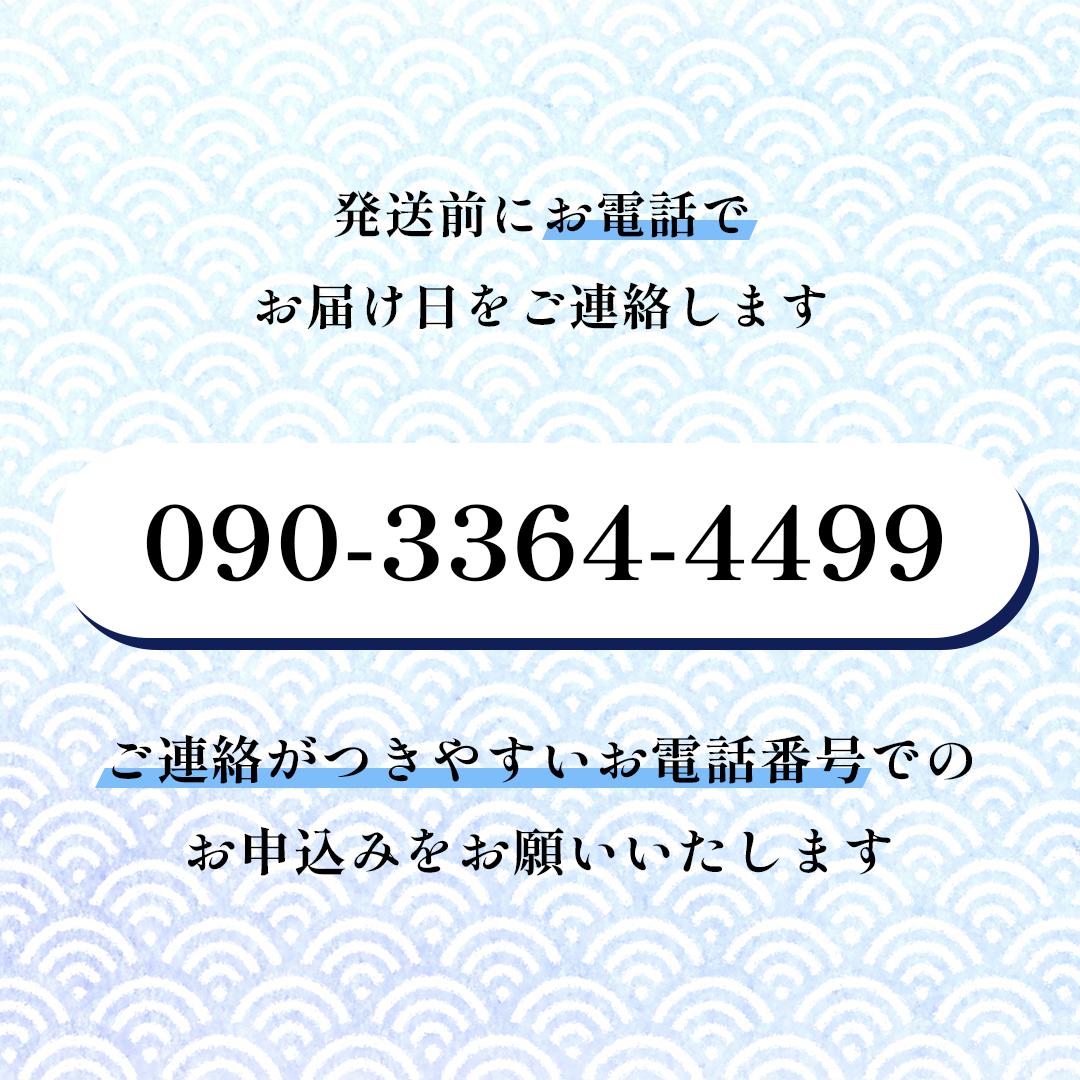 鮮魚 冷蔵 クール便「 開けたらすぐ食べられる下処理済み 海産物 2～3人前 セット 」みずしまや【 パック 詰め合わせ 海鮮セット 鮮魚ボックス 海鮮 海の幸 魚介 魚介類 刺身 切り身  秋田県 