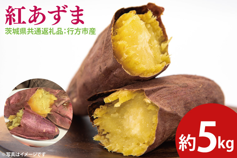 
            【先行予約】紅あずま 約5㎏（茨城県共通返礼品：行方市産）※2025年10月上旬～2026年3月下旬頃に順次発送予定（CD084）
          