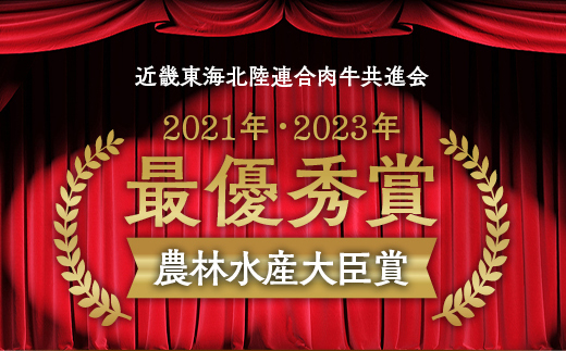 牛肉 ブロック 京都府産黒毛和牛 亀岡牛 サーロイン ブロック 600g 超厚切り≪焼肉 やきにく ステーキ サイコロステーキ 国産 希少 牛肉 京都府産 黒毛和牛 和牛 冷凍 ふるさと納税≫