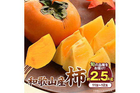 和歌山県産 柿 約2.5kg(11玉-12玉)前商店《9月下旬-11月中旬頃出荷》