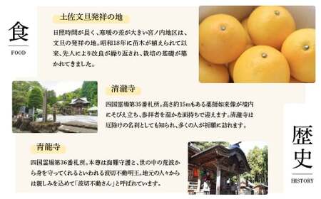 土佐市への寄付 1口10000円（返礼品はありません） 高知県土佐市 【土佐市役所】 [BQCD003]