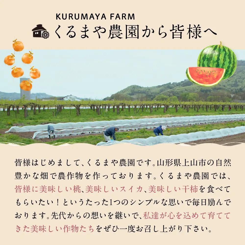 【フルーツ王国直送！】山形旬の桃　３個　特秀品（ゆうぞら、幸茜、白根白桃、紅錦香、他）いずれか１品種　0033-2604