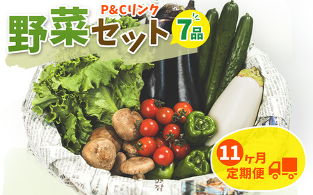 【11ヶ月定期便】野菜セット7品 旬野菜詰め合せ 季節 旬 春野菜 夏野菜 秋野菜 きのこ 葉物 果物 果菜 根菜 冷蔵 野菜室 ダイエット 食 栄養食 カット野菜 岩手県産 北上産 季節限定 稀少 数量限定 山菜 ブロッコリー たまねぎ さつまいも とうもろこし サラダ トマト しいたけ アスパラガス 松茸 じゃがいも かぼちゃ 白菜 水菜 ミニトマト 枝豆 K0063  P＆Cリンク
