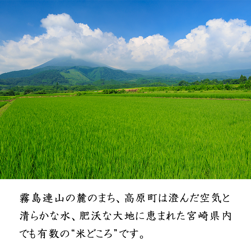 【令和7年産 新米】宮崎県高原町産 ひのひかり白米 定期便10kg×3ヶ月 TF00857-P00079
