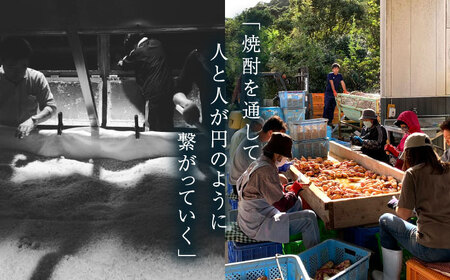 【上五島産の芋で作る本格芋焼酎】紅白（紅芋・明治之芋）2本　セット　各1800ml×1本　酒　お酒　焼酎　芋焼酎　いも　麹　五島灘　【五島灘酒造】[RAW047]