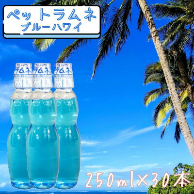 【ふるさと納税】【なつかしい味】ペットラムネ　ブルーハワイ(250ml×30本)【1598131】