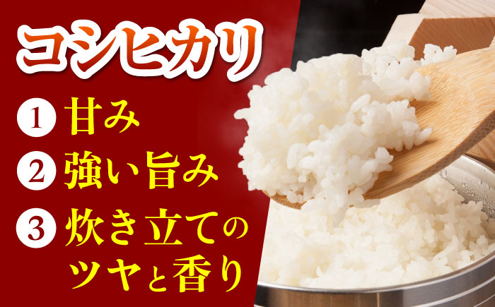 【全5回定期便】令和7年度産 ななしま家 コシヒカリ 5kg / 佐賀県 / 有限会社七島農産 [41AHAC007]