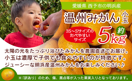 ＜訳あり 温州みかん 小玉 約5kg＞ 明浜産 果物 フルーツ みかん 蜜柑 ミカン うんしゅうみかん ウンシュウミカン オレンジ 柑橘 家庭用 食べて応援 特産品 浜のみかん屋 直送 愛媛県 西予市