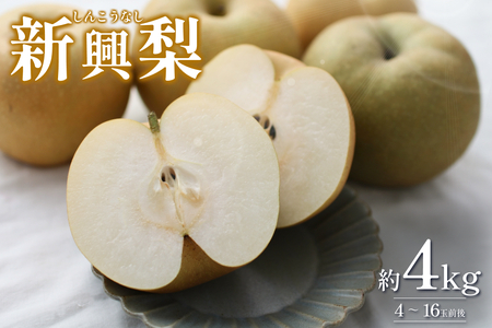 【2026・先行予約】新興梨（しんこうなし）4kg｜鳥取 果物 フルーツ なし 梨 2026年収穫後【41036】