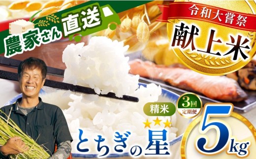 【2026年先行予約】【定期便3回】令和大嘗祭献上米！真岡市産 とちぎの星（精米） 5kg