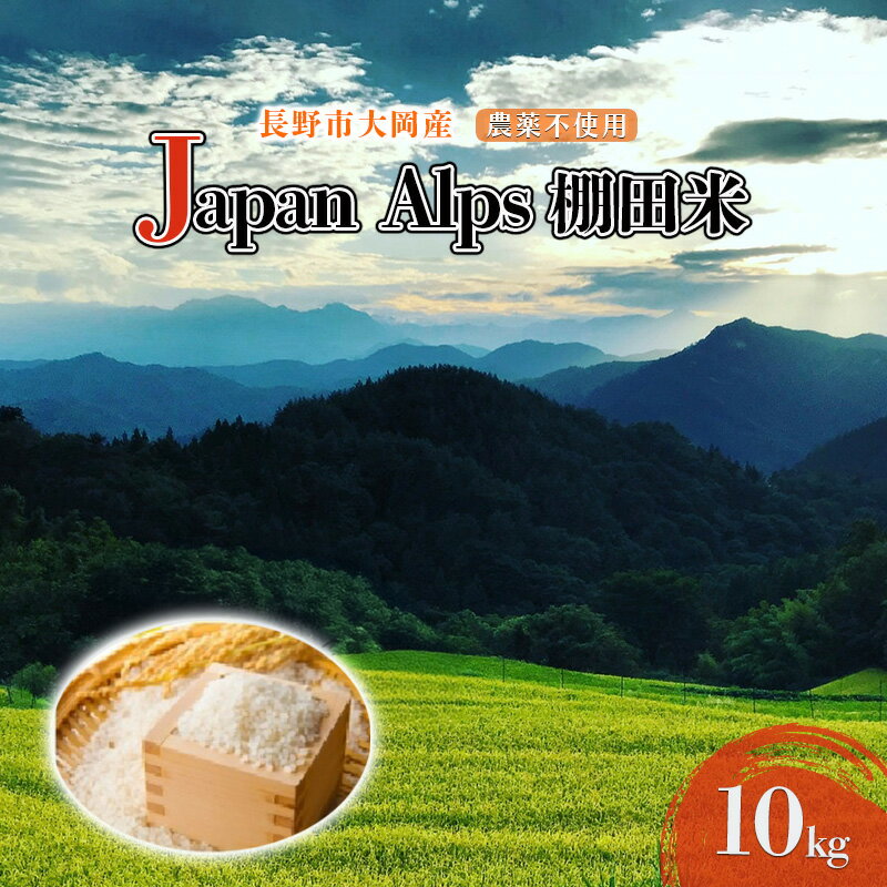 【ふるさと納税】長野市大岡産農薬不使用Japan Alps棚田米10kg お米 　お届け：2025年10月上旬～2026年2月下旬まで