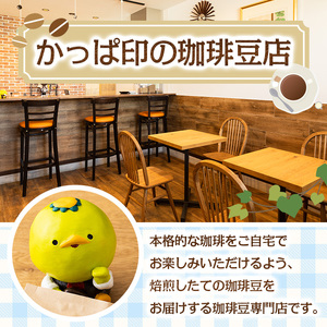 ＜豆＞店主おすすめ！珈琲セット(計600g) コーヒー 珈琲 ドリップ 自家焙煎珈琲 ブラジル コロンビア グアテマラ インドネシア エクアドル コスタリカ 飲み比べ お取り寄せ 【sm-DN002-