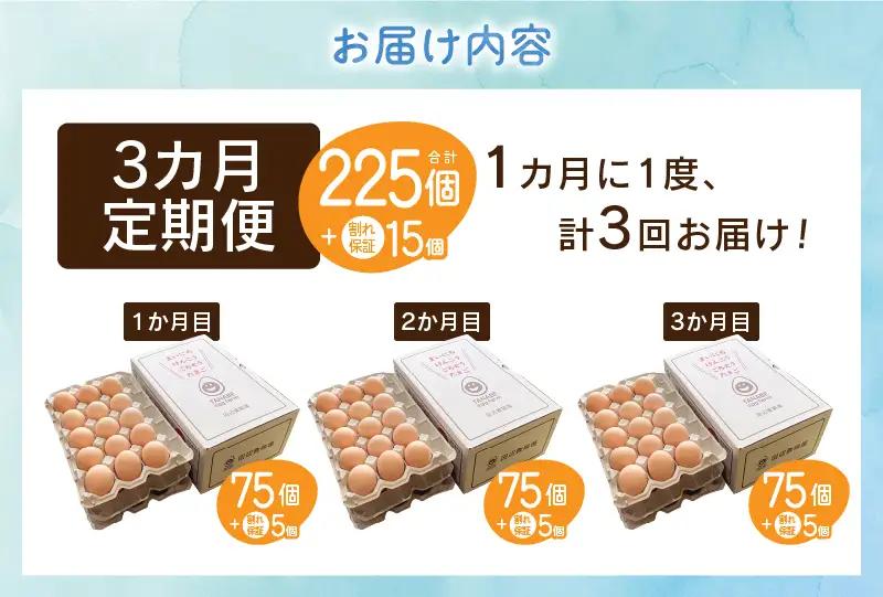 【3ヶ月定期便】”忍野の卵”旨味のピンク玉80個×3回 ※割れ保証含む 卵