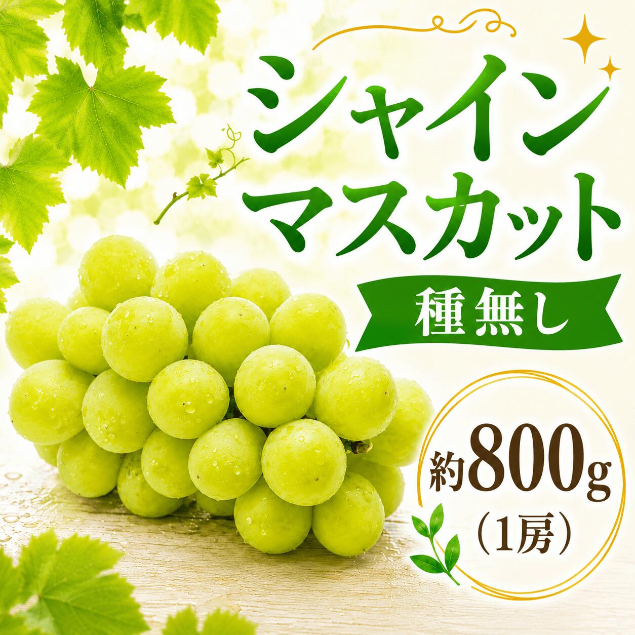 【ふるさと納税】 シャインマスカット 1房 800g 種無し ぶどう ブドウ 葡萄 フルーツ 果物 旬 甘い 大粒 粒 皮ごと お取り寄せ 化粧箱 ギフト 2026年産 期間限定 贈答用 筑西市 茨城県 関東
