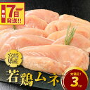 【ふるさと納税】【レビューキャンペーン対象】宮崎県産若鶏ムネ3kg - 若鶏むね肉 ヘルシー 国産若鶏 宮崎県産若鶏 グルタミン酸 イノシン酸 蒸し料理 冷凍 鶏もも肉に比べて低カロリー・高タンパクな ムネ肉 真空パック 1kg×3 スピード配送便 送料無料 【宮崎県木城町】