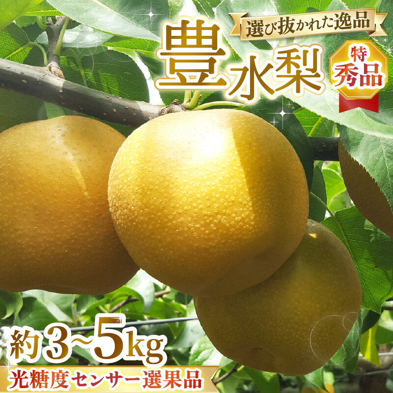 【ふるさと納税】【先行予約】特選大玉 豊水梨『特秀品』選び抜かれた逸品 3kg 5kg 光糖度センサー選果品 ※2026年9月上旬より順次発送