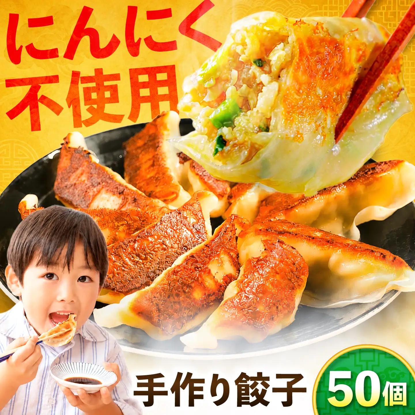 野菜たっぷり手作り餃子 50個 国産 ぎょうざ おかず 岐阜市 / ながらぱいたん珀[ANHY001]