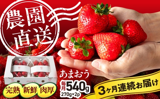 【月1回・全3回定期便】あまおう いちご 農家直送 糸島産あまおう 270g×2パック【2027年1月～順次発送】 (A品B品含むL～5L) 糸島市 / 磯本農園 / TANNAL [ATB009] いちご 苺 イチゴ ランキング 上位 人気 おすすめ あまおう定期便 あまおう いちご 定期便 3ヶ月 糸島産あまおう 福岡産あまおう あまおういちご あまおう 1月 産地直送 3回定期便