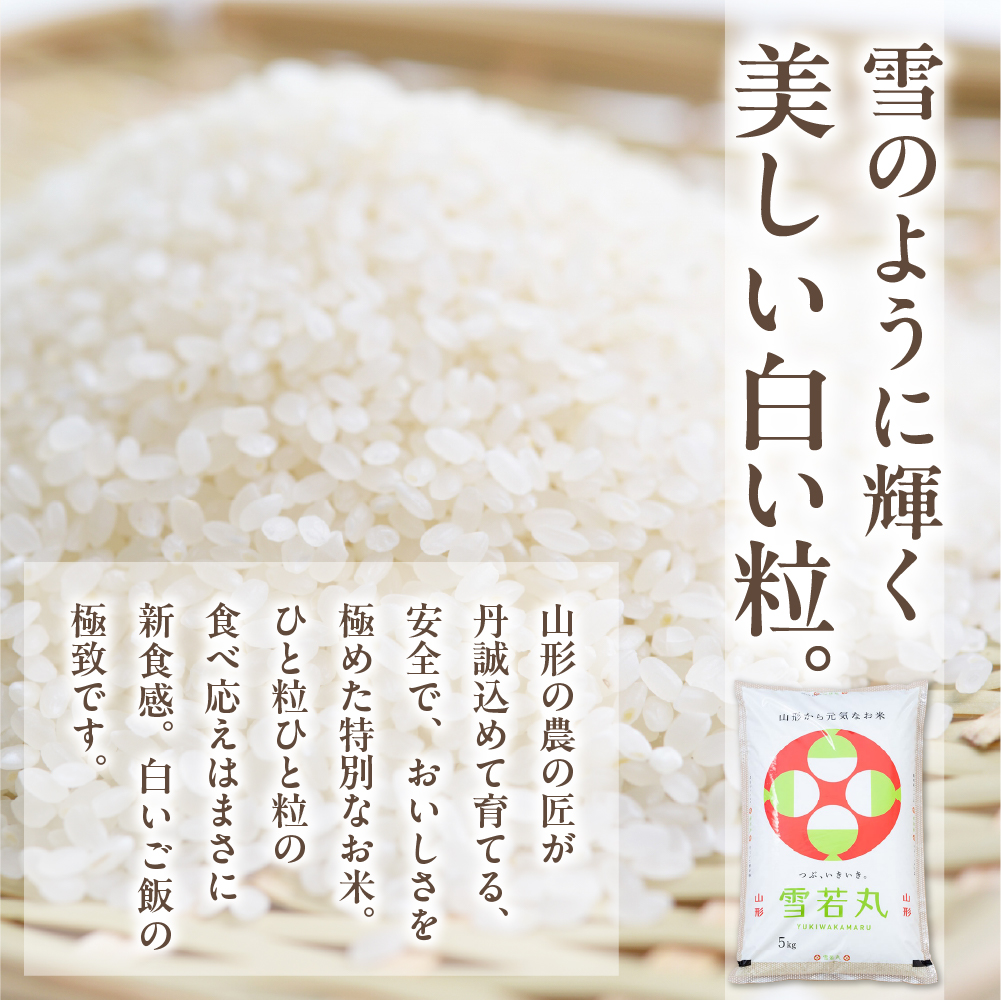 【令和6年産米 先行予約】☆2024年12月後半発送☆ 雪若丸 5kg（5kg×1袋）山形県 東根市産　hi003-118-123