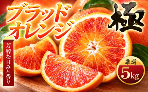 ＜太陽をたっぷり浴びた＞ブラッドオレンジ(タロッコ)＜極＞5kg＜E49-88＞【1621800】 YWTZ073