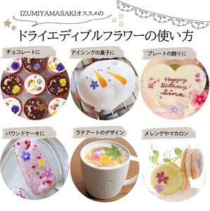ドライ エディブルフラワー 彩りミックス 20枚　食用花 押し花加工 ケーキ トッピング デコレーション マカロン メレンゲ アイシングクッキー バレンタイン EB-0003