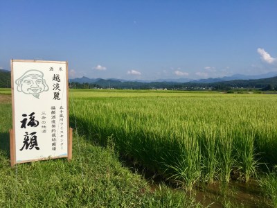 大吟醸原酒・純米大吟醸 日本酒セット (1.8L×2本） 新潟県 日本酒 大吟醸原酒 純米大吟醸 一升瓶 [福顔酒造] 【052S003】