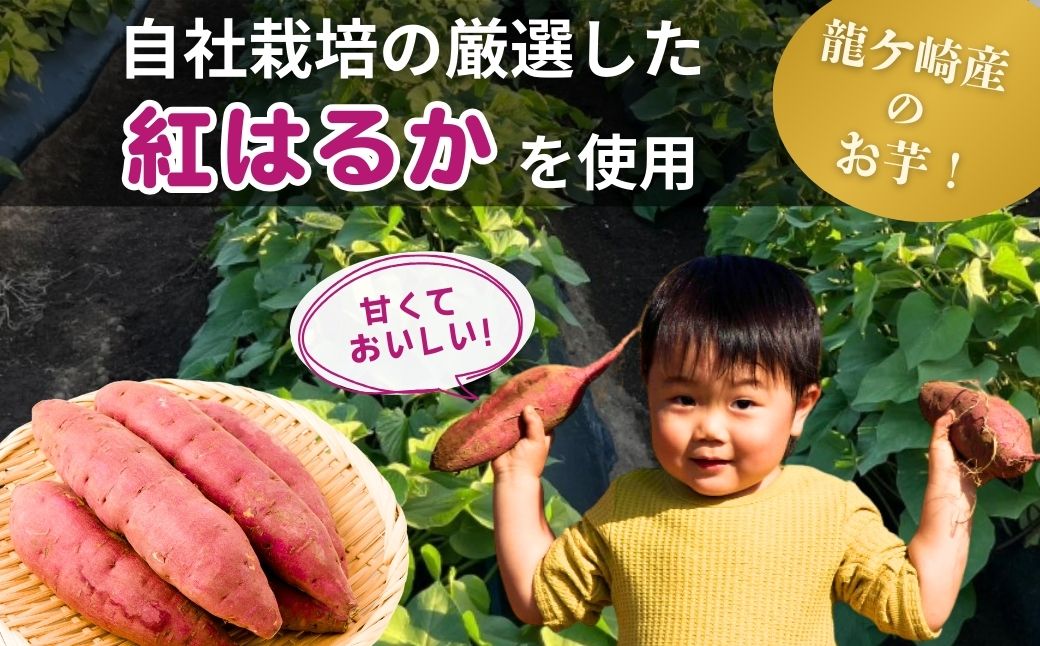 干し芋 紅はるか ゆうゆう農園の干し芋 平干し 1kg【簡易包装品】 | 訳あり干し芋 紅はるか干し芋 平干し ほしいも 干しいも 国産 無添加 茨城県産 さつまいも サツマイモ お芋 おいも おやつ
