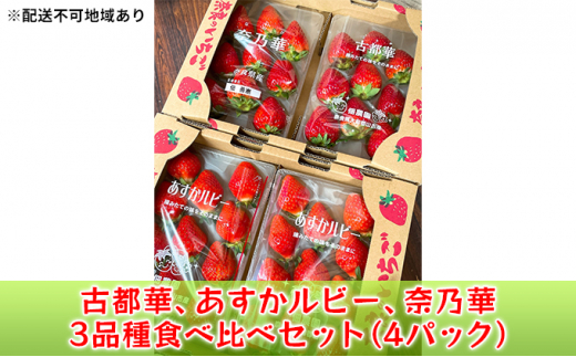 
佃農園のこだわり【いちご】3品種食べ比べセット（4パック） [№5990-0612]
