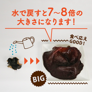 きくらげ 乾燥 丸干し 25g × 2袋  国産 きくらげ