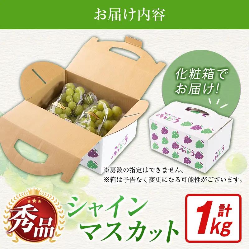シャインマスカット 1kg ブドウ ぶどう フルーツ 果物 