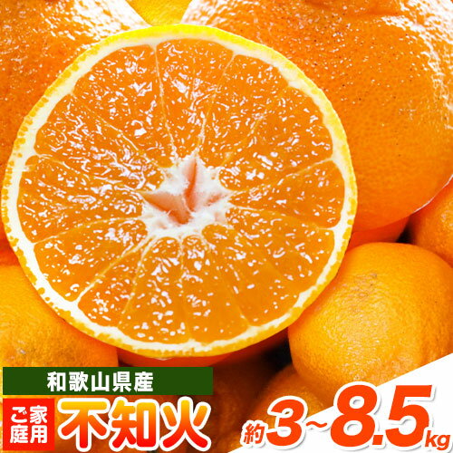 【ふるさと納税】【先行予約】【ご家庭用】紀州有田産 不知火 ( しらぬひ ) 選べる内容量 約3kg 約6kg 約8.5kg 株式会社魚鶴 《2月中旬-3月中旬頃出荷》 和歌山県 日高川町 不知火 みかん 柑橘 果物 フルーツ デコポン と同品種 でこぽん 訳あり不知火 訳ありデコポン 訳あり