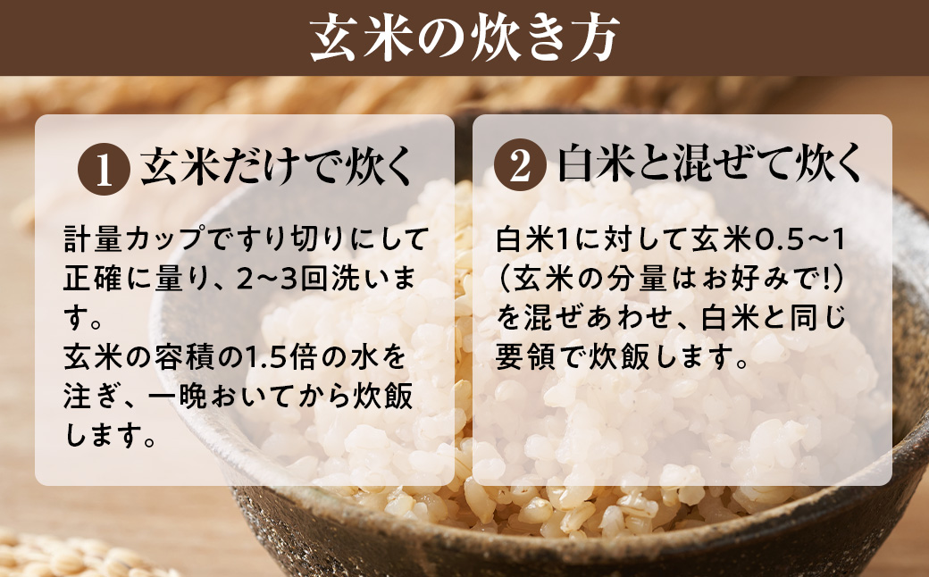 【令和8年産 新米 先行予約】近江米きぬむすめ 30kg（玄米）※2026年9月～発送