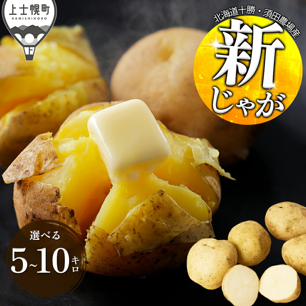 【ふるさと納税】2026年産 先行予約 北海道産 新じゃが じゃがいも 選べる 5～10kg 男爵 きたひめ ホッカイコガネ 北海道 高評価★5.0 上士幌町 須田農場 野菜 じゃがいも ジャガイモ 北海こがね 馬鈴薯 産地直送 ◆2026年9月中旬発送開始予定 レビューキャンペーン対象品