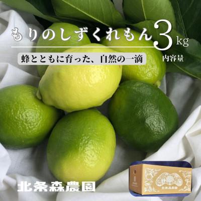ふるさと納税 松山市 もりのしずくれもん(国産レモン)3kg