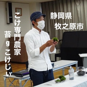 123-4 　こけ専門農家直送!!パキラ苔玉