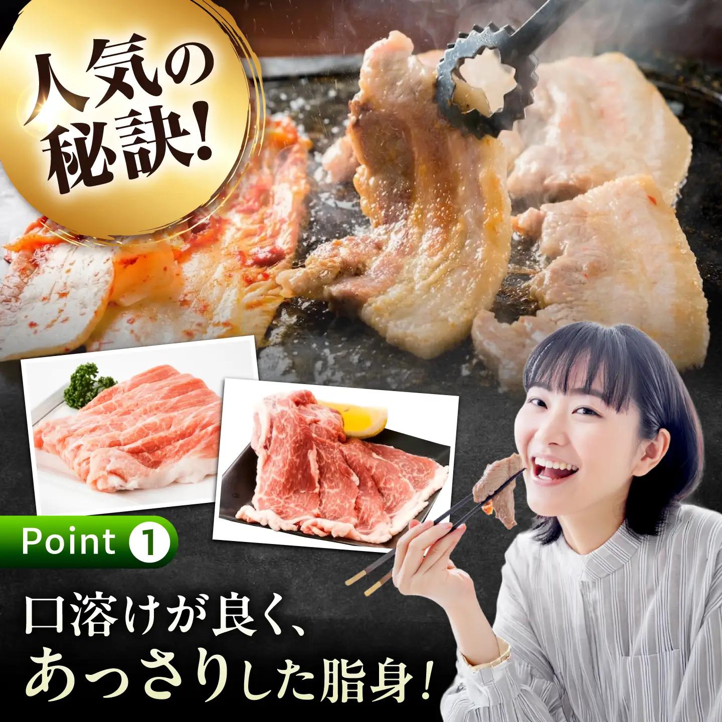 【全12回定期便】バラエティセット約1，200g (肩ロース・バラ・小間切れ・豚トロ 各300g)  [BAER081]豚肉