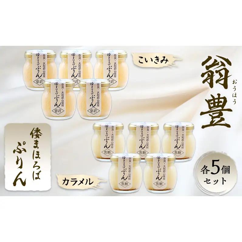 プリン 詰め合わせ 大和まほろば翁豊ぷりん 10個入り こいきみ カラメル 各5個セット 奈良県 大和郡山市 スイーツ お取り寄せ ギフト 贈り物 洋菓子 プレゼント お祝い デザート ぷりん