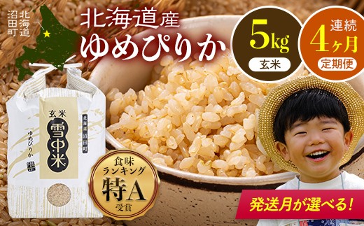 
                  令和8年産 【定期便4ヶ月】  特Aランク米 ゆめぴりか 玄米 5kg（5kg×1袋）【発送月が選べる】雪冷気 籾貯蔵 雪中米 北海道 nr-1930var
                