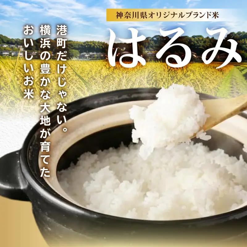 横浜市ふるさと納税返礼品　環境にやさしい無洗米を食べてSDGｓへ取り組もう！「BG無洗米　横浜市産はるみ（3kg×3袋）」 AFK0002