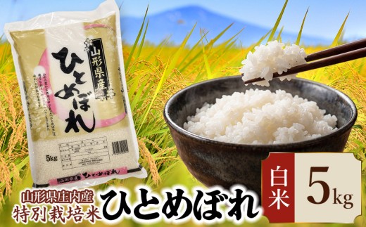 【令和7年産】 特別栽培米 ひとめぼれ 精米 5kg (5kg×1袋)　山形県 庄内産 　| 5キロ 米 お米 コメ 白米 食品 ご飯 ごはん 美味しい おいしい ブランド米 庄内米 エコ包装 おすすめ 人気 山形県 鶴岡市 東北 国産 お取り寄せ SDGs未来都市鶴岡 返礼品