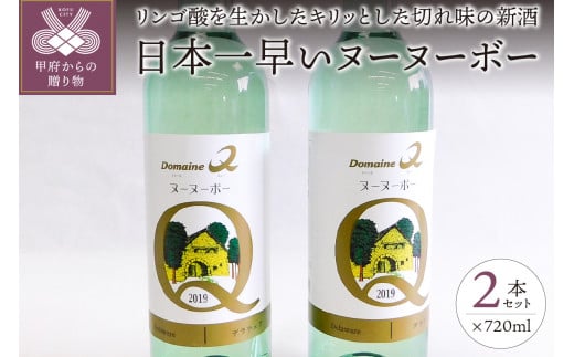 
【山梨県産】日本一早いヌーヌーボー2本セット（720ml×2本）
