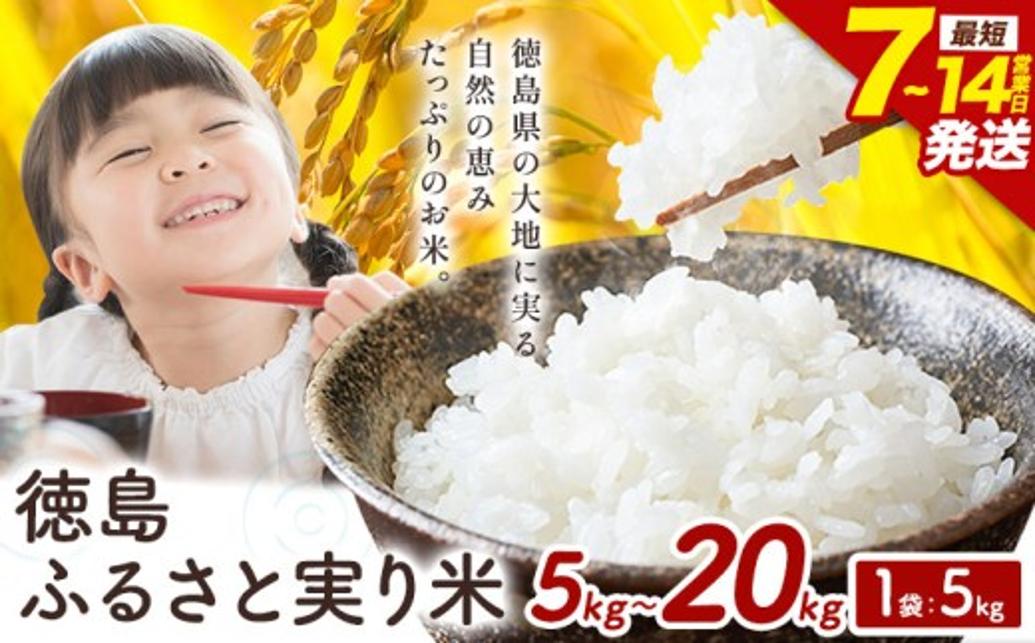 
                  ＼最短7日以内に発送／ もちもち美味しい！ 徳島ふるさと実り米 精米 5kg～20kg お米 米  国産 ブレンド米 白米 精米 徳島県 上板町
                