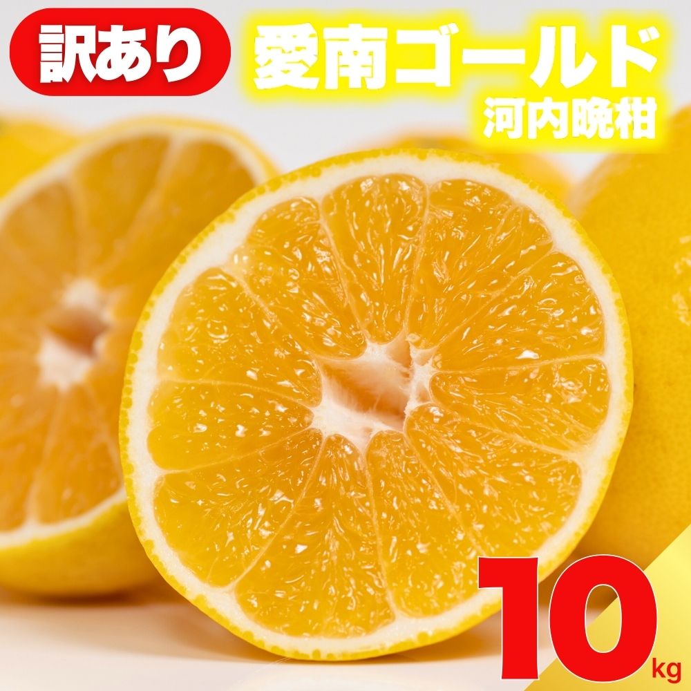 【ふるさと納税】 先行予約 訳あり 減農薬 愛南ゴールド 河内晩柑 10kg サイズ ミックス 家庭用 農家直送 不揃い 柑橘 みかん 蜜柑 和製 グレープフルーツ 予約受付 数量限定 ジュース ゼリー ジャム マーマレード デザート 焼酎 割り サワー 愛媛県 愛南町 愛南フルーツ
