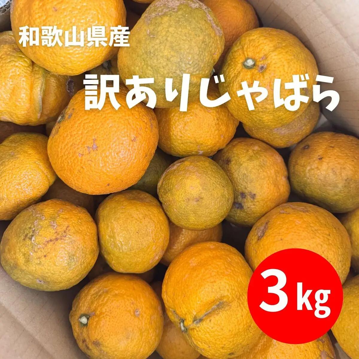 訳あり じゃばら 3kg (17～26玉)