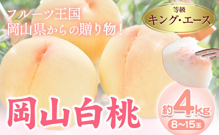 
                  【先行予約】岡山白桃 キング・エース 約4kg 8~15玉 橋田商店有限会社《7月上旬-8月中旬頃出荷》 岡山県 浅口市 岡山県産 もも フルーツ 果物 くだもの 白桃 送料無料
                