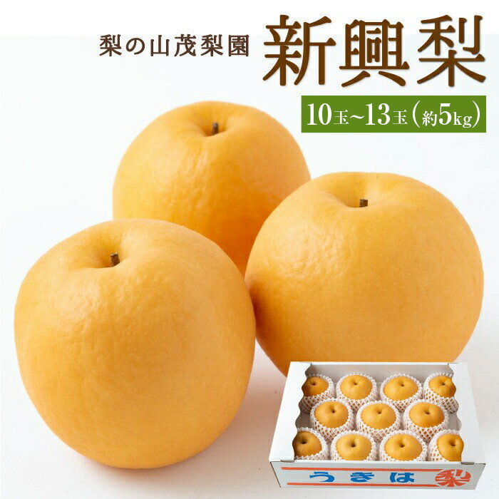 【ふるさと納税】 【先行予約】梨の山茂梨園 新興梨 10玉から13玉 (約5kg) 2026年10月上旬から11月上旬 出荷予定 梨 なし ナシ フルーツ 果実 果物 常温 送料無料 福岡県 うきは市