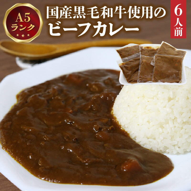 【ふるさと納税】A5ランク国産黒毛和牛使用のビーフカレー（6人前） レトルト 冷凍 簡単調理 真空パック 牛肉 お肉 カレー ルー 自家製 温めるだけ 湯煎 食品 ごはん グルメ 高級 送料無料