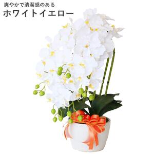 造花 シルクフラワーの胡蝶蘭の鉢植 5本立 CT触媒 ホワイトイエロー ／ お花 コチョウラン 埼玉県